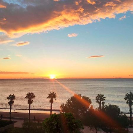 Sunrise Estudio Zebra, Con Vistas Jardin Y Mar Miami Playa Екстер'єр фото